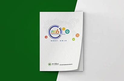 武都区画册设计：以场景为媒，打造城市体验的全新入口